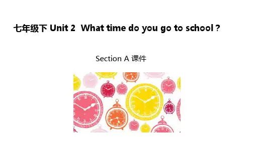 Unit 2 What time do you  Section A【课件】七年级英语下册(人教版)