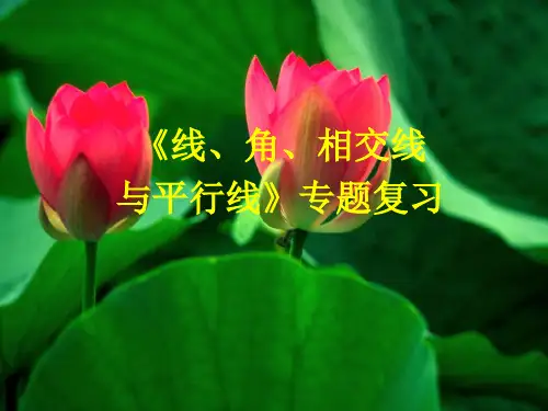 《线、角、相交线与平行线》专题复习课件