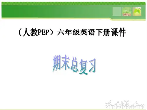 六年级英语下册《期末总复习》PPT课件(人教PEP版)