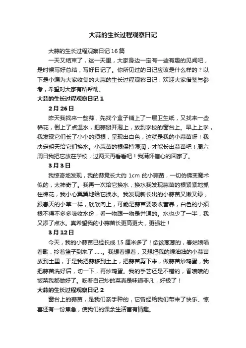 大蒜的生长过程观察日记