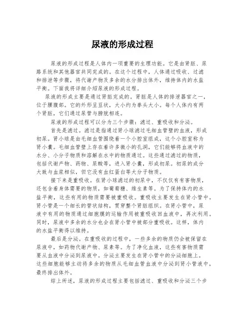 尿液的形成过程
