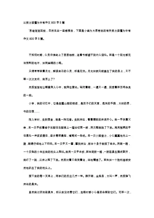 高中作文-以努力读懂为中考作文800字5篇