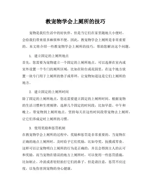 教宠物学会上厕所的技巧