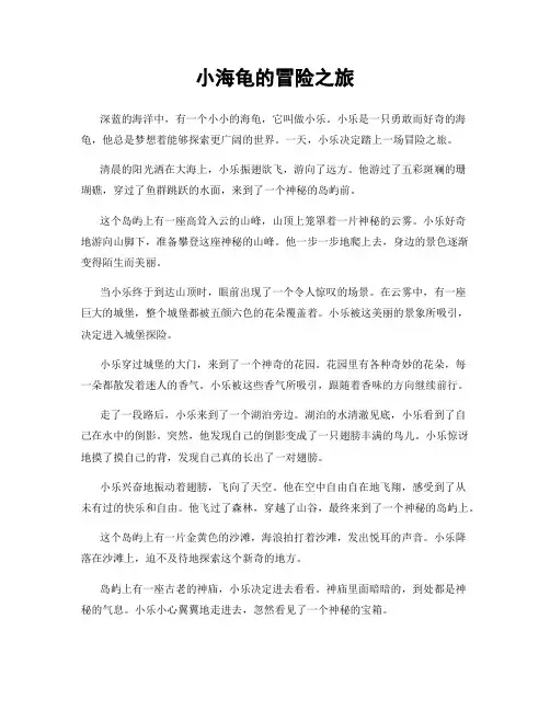 小海龟的冒险之旅