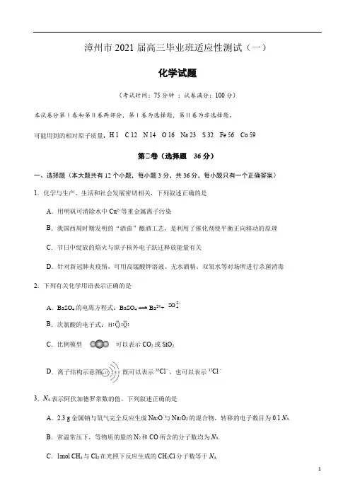 福建省漳州市2021届高三毕业班适应性测试(一)化学试题 含答案