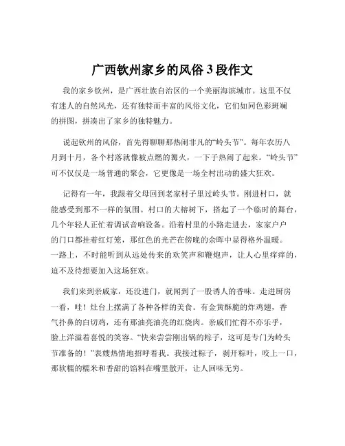 广西钦州家乡的风俗3段作文