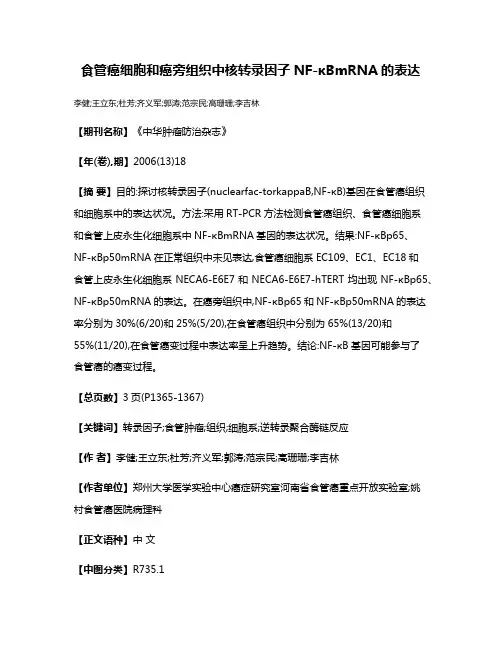 食管癌细胞和癌旁组织中核转录因子NF-κBmRNA的表达