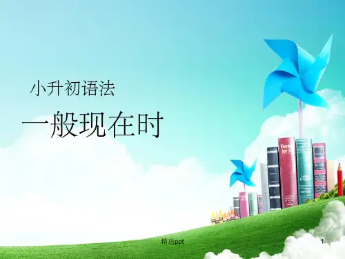 《小升初语法》PPT课件