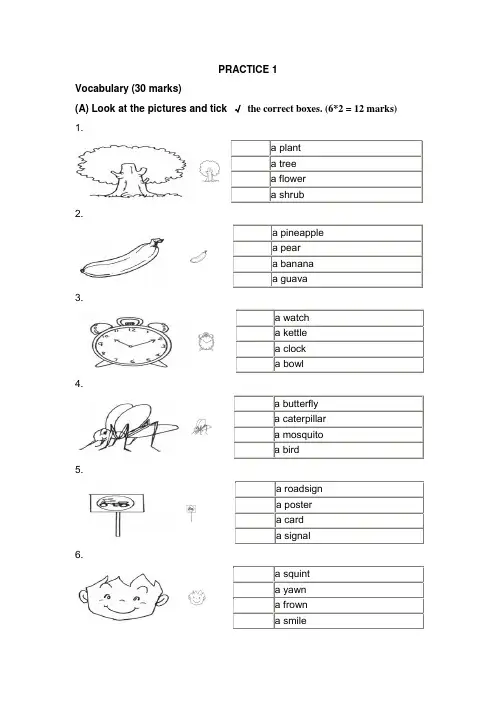 新加坡小学英语一年级试卷PRACTICE 1