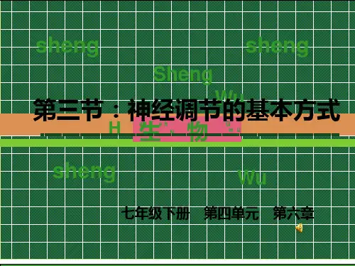 全国教学比赛国家奖优质课件