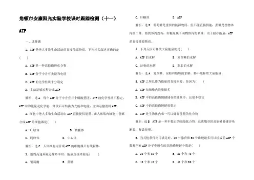 高中生物(十一)ATP1高中1生物试题