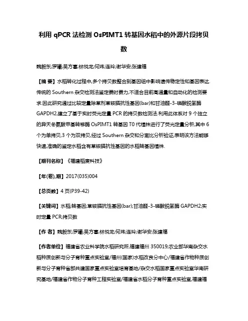 利用qPCR法检测OsPIMT1转基因水稻中的外源片段拷贝数