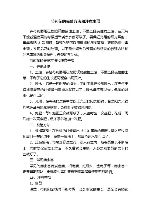 芍药花的养殖方法和注意事项