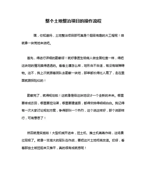 整个土地整治项目的操作流程