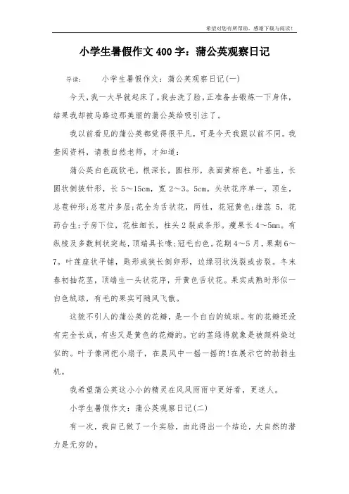小学生暑假作文400字：蒲公英观察日记