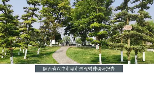 陕西省汉中市城市景观树种调研报告