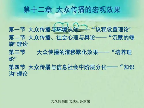 大众传播的宏观社会效果