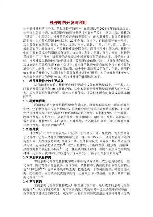 杜仲叶的开发与利用