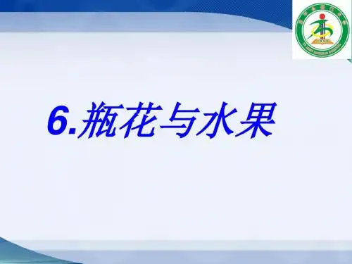 《瓶花与水果》