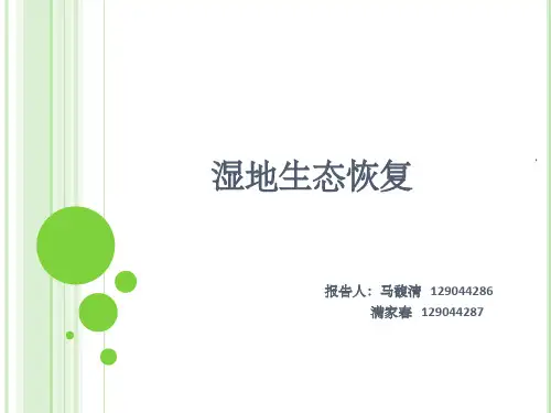湿地生态恢复ppt