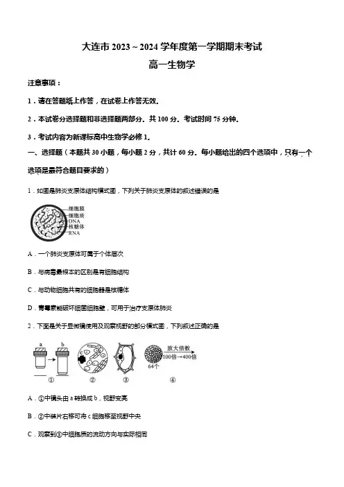 辽宁省大连市2023-2024学年高一上学期期末考试生物word版含答案