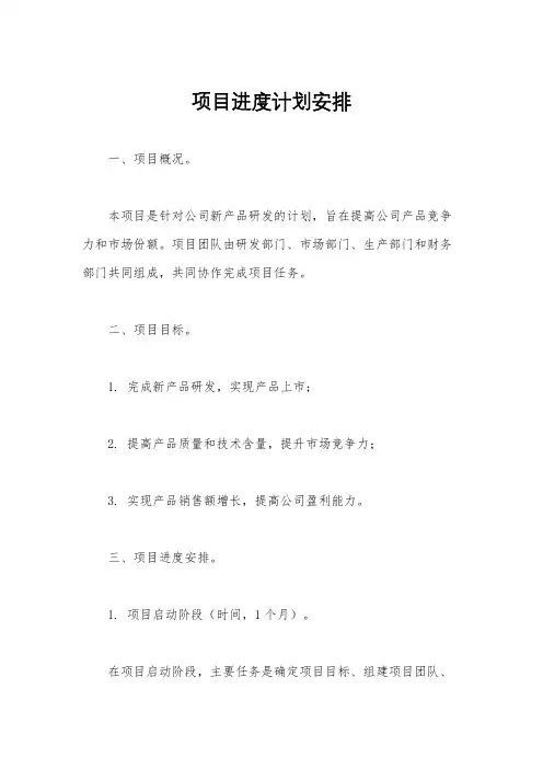 项目进度计划安排