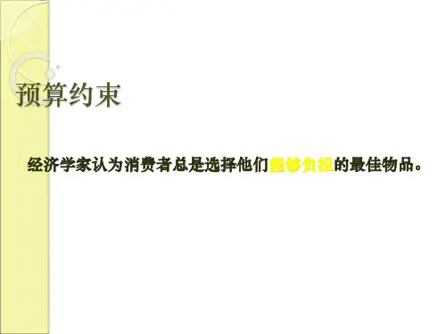 预算约束