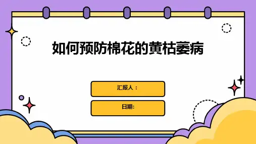 如何预防棉花的黄枯萎病