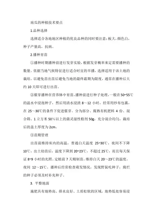 南瓜的种植技术要点