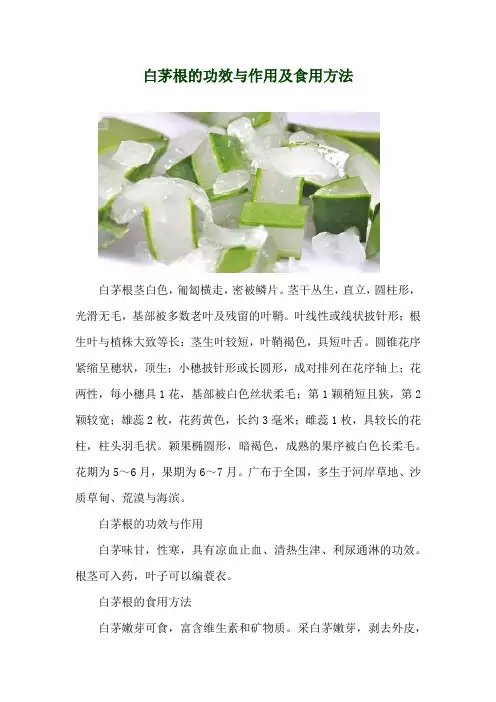 白茅根的功效与作用及食用方法