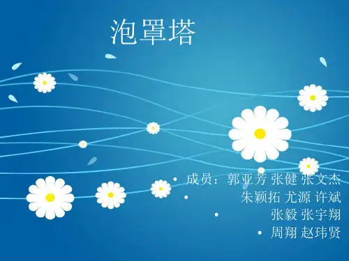 泡罩塔PPT课件