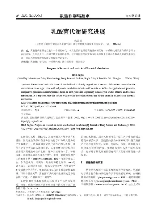 乳酸菌代谢研究进展