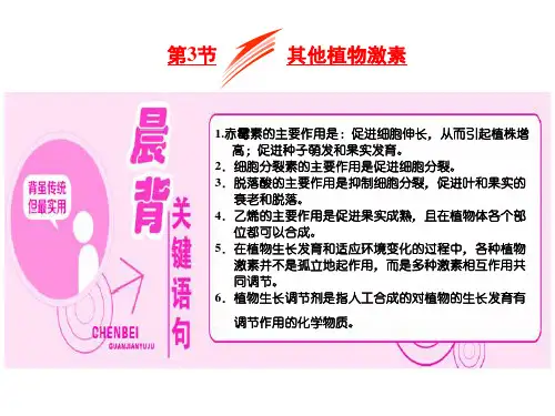 高中生物 必修3 ： 其他植物激素  PPT课件