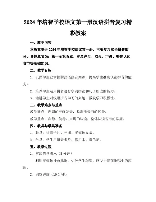 2024年培智学校语文第一册汉语拼音复习精彩教案
