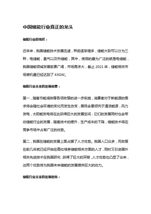 中国储能行业真正的龙头