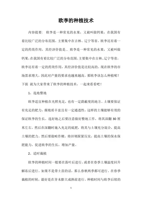 欧李的种植技术