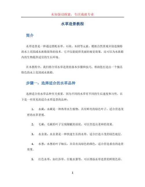 水草造景教程