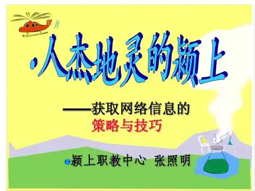 2.2 获取网络信息的策略与技巧