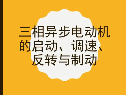 三相异步电动机的启动、调速、反转与制动-文档资料
