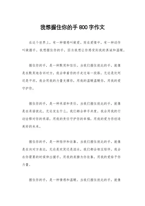 我想握住你的手800字作文