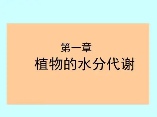 第一章植物的水分代谢
