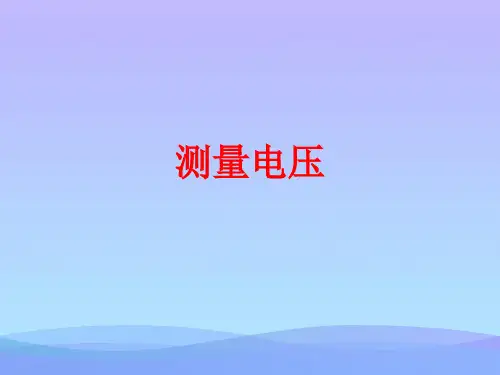 测量电压ppt3 沪科版1优秀课件