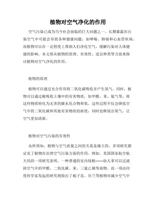 植物对空气净化的作用