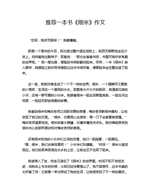 推荐一本书《细米》作文