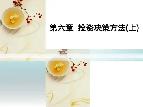 第六章  投资决策方法