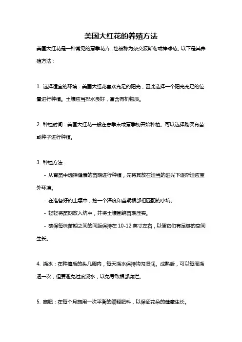 美国大红花的养殖方法