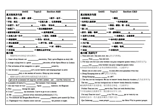 仁爱英语九年级下册Unit5Topic3知识点总结及词汇测试(新版)