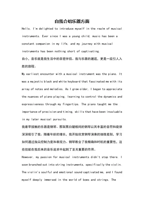 自我介绍乐器方面