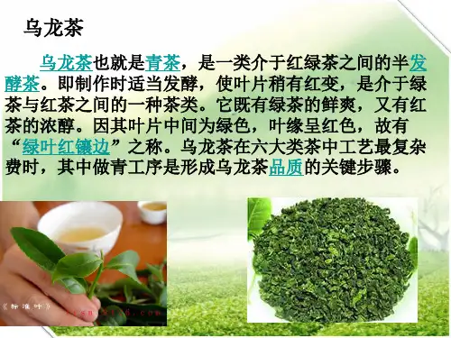 叶呈‘绿叶红镶边’