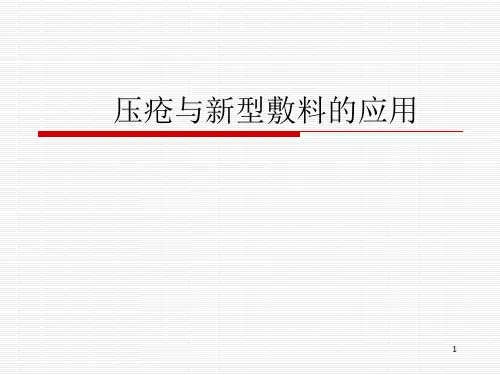 压疮与新型敷料应用ppt课件